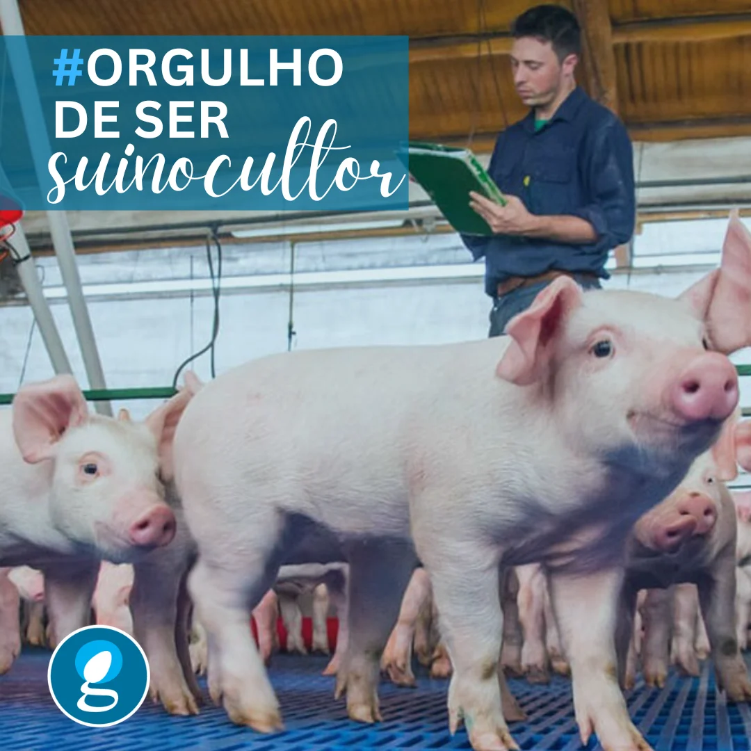 Técnico com prancha avaliando leitões em granja, com texto Orgulho de Ser Suinocultor e logo da GENEPRO.